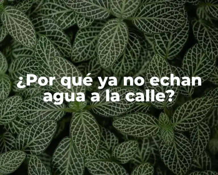 ¿Por qué ya no echan agua a la calle?