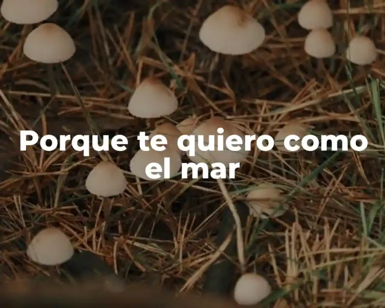 Porque te quiero como el mar