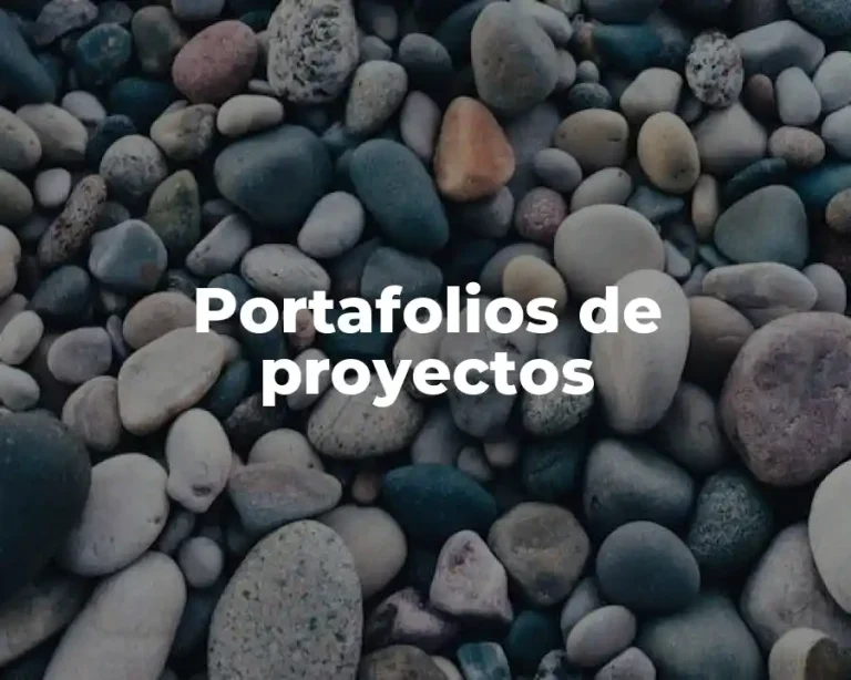 Portafolios de proyectos