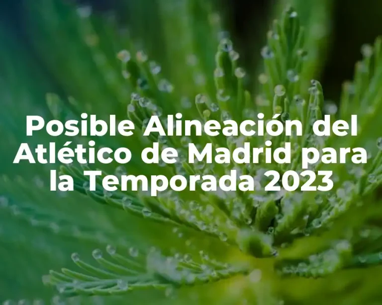 Posible Alineación del Atlético de Madrid para la Temporada 2023