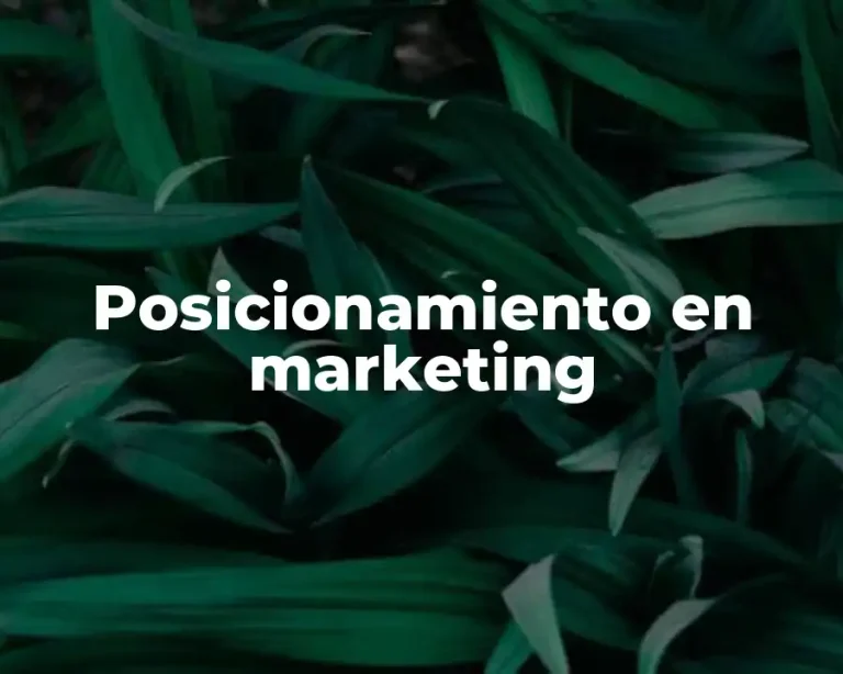 Posicionamiento en marketing