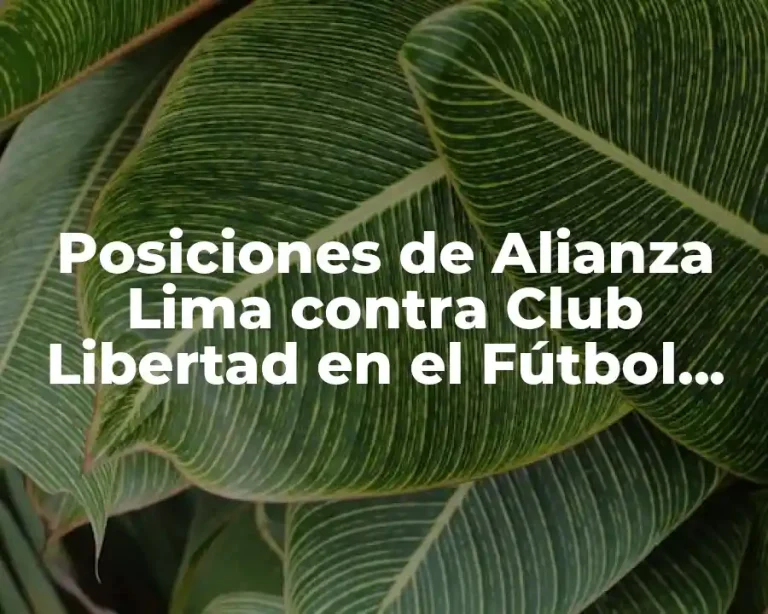 Posiciones de Alianza Lima contra Club Libertad en el Fútbol Internacional
