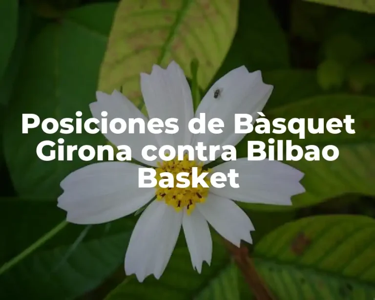 Posiciones de Bàsquet Girona contra Bilbao Basket