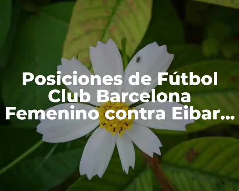 Posiciones de Fútbol Club Barcelona Femenino contra Eibar Femenino