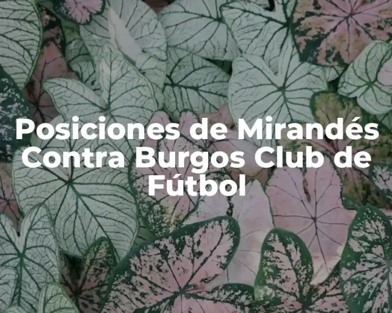 Posiciones de Mirandés Contra Burgos Club de Fútbol