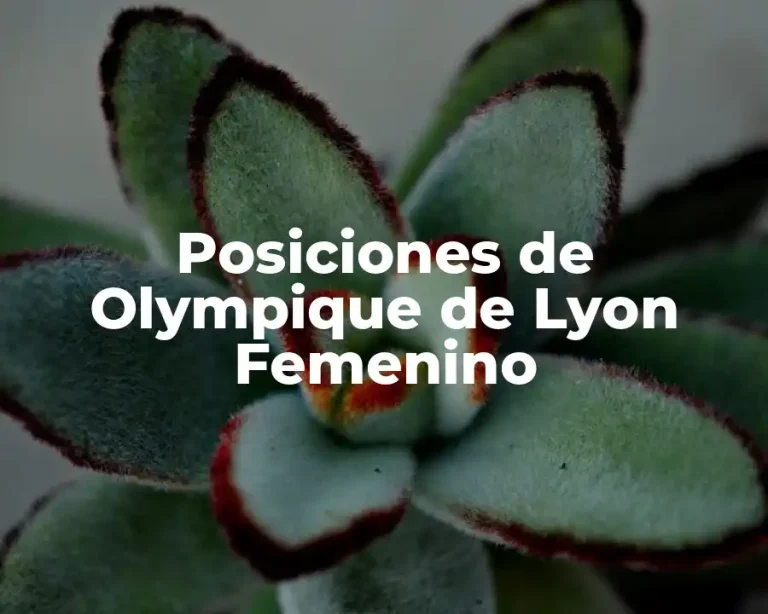 Posiciones de Olympique de Lyon Femenino
