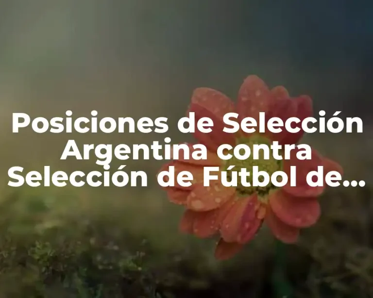 Posiciones de Selección Argentina contra Selección de Fútbol de Paraguay
