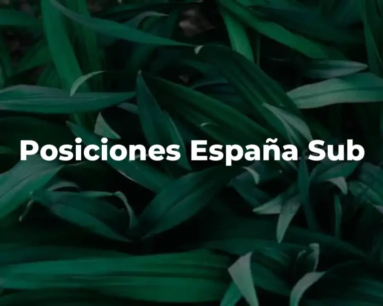 Posiciones España Sub
