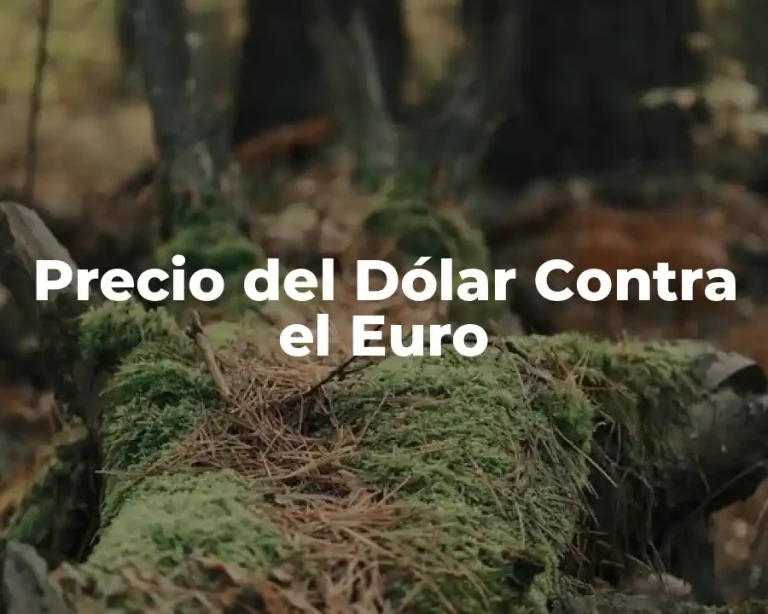 Precio del Dólar Contra el Euro