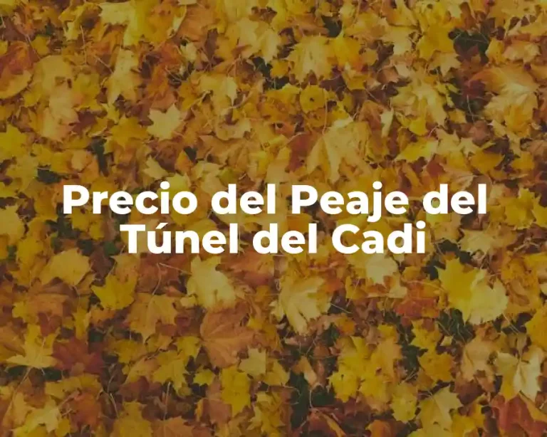Precio del Peaje del Túnel del Cadi