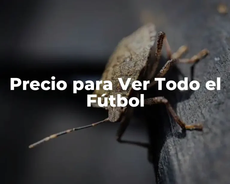 Precio para Ver Todo el Fútbol