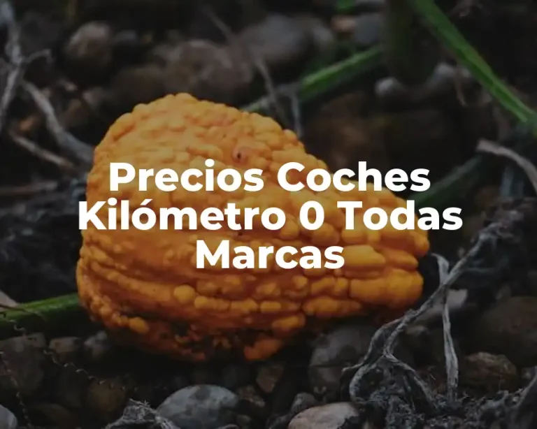 Precios Coches Kilómetro 0 Todas Marcas