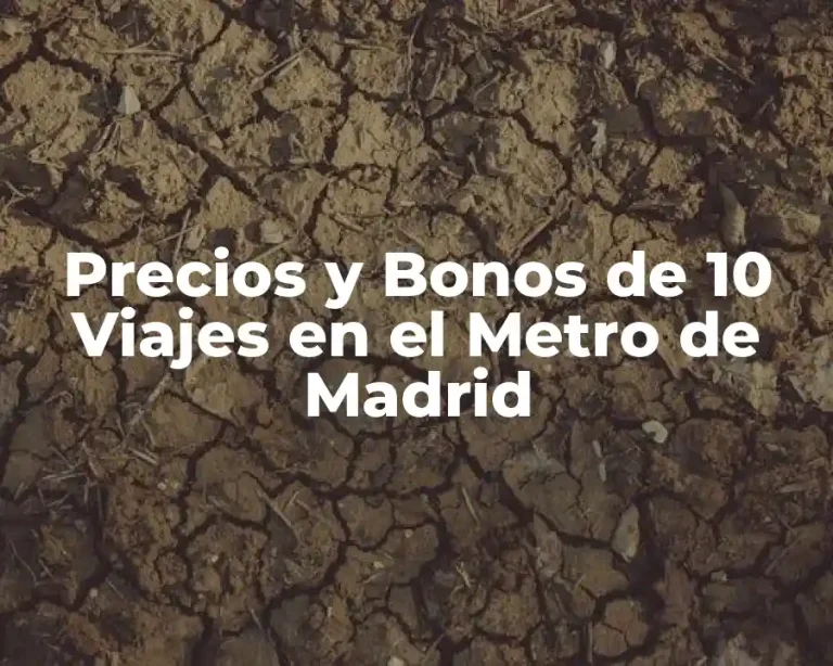 Precios y Bonos de 10 Viajes en el Metro de Madrid