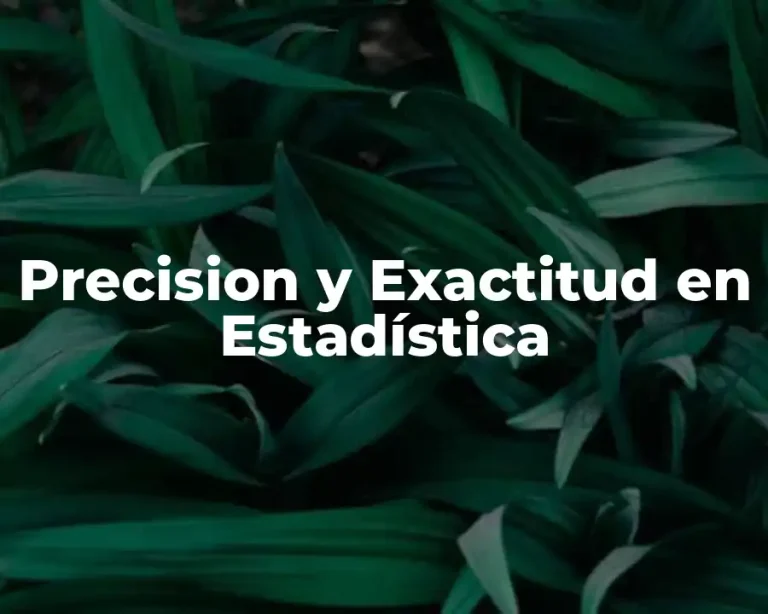 Precision y Exactitud en Estadística