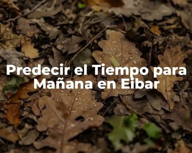 Predecir el Tiempo para Mañana en Eibar