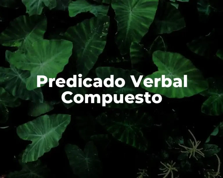 Predicado Verbal Compuesto