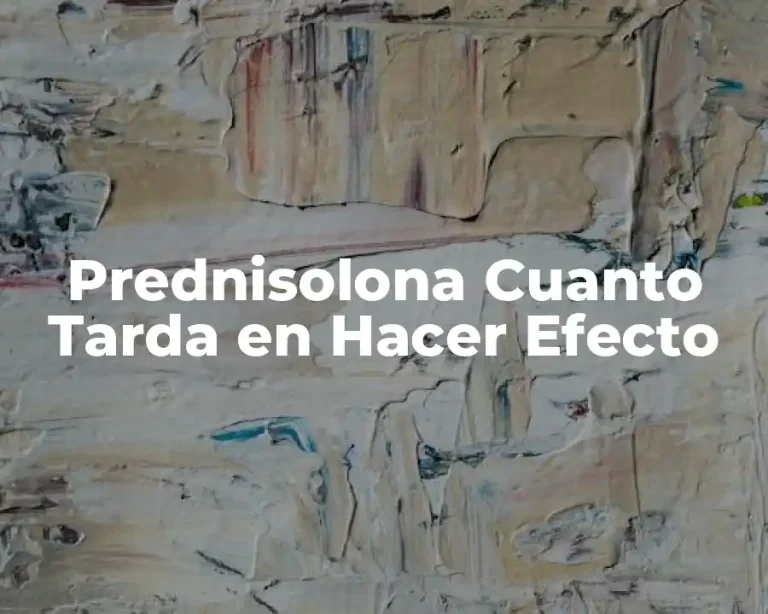 Prednisolona Cuanto Tarda en Hacer Efecto