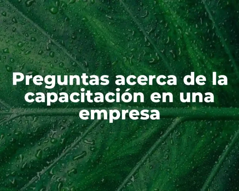 Preguntas acerca de la capacitación en una empresa