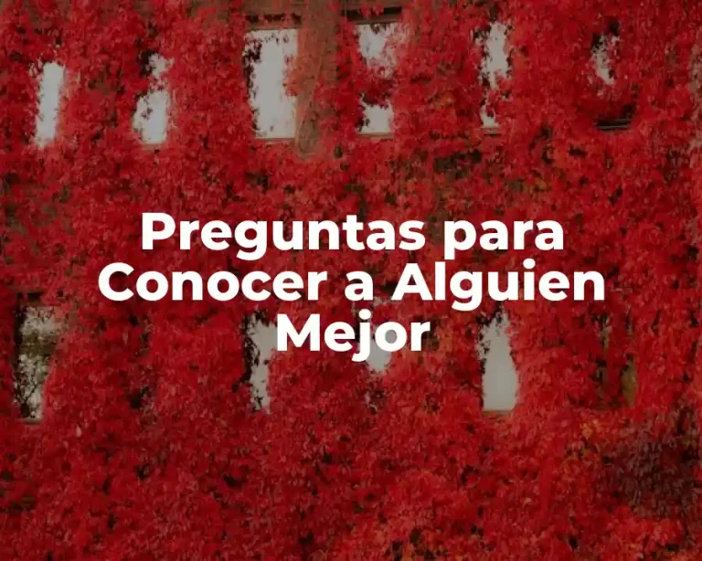Preguntas para Conocer a Alguien Mejor
