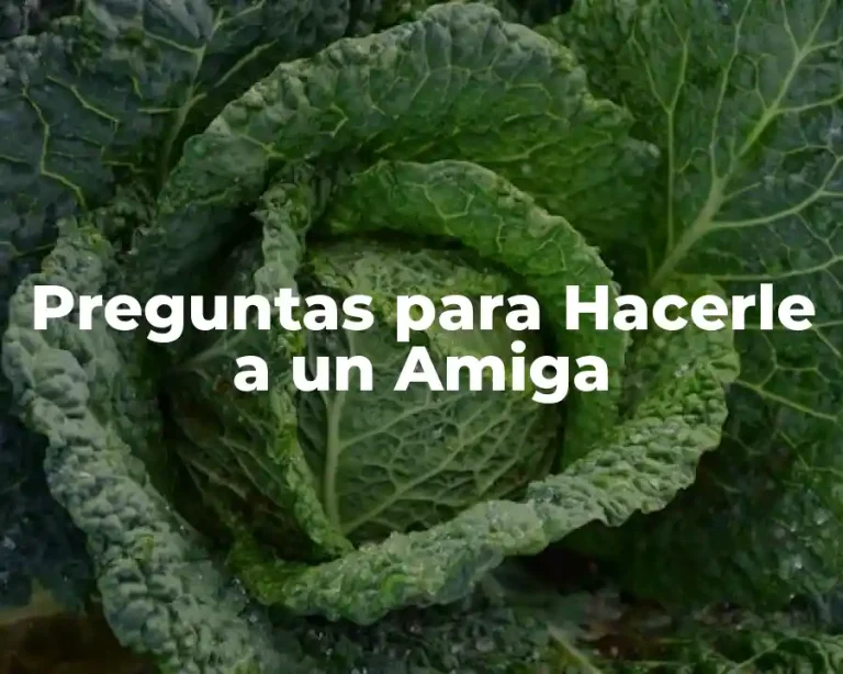 Preguntas para Hacerle a un Amiga