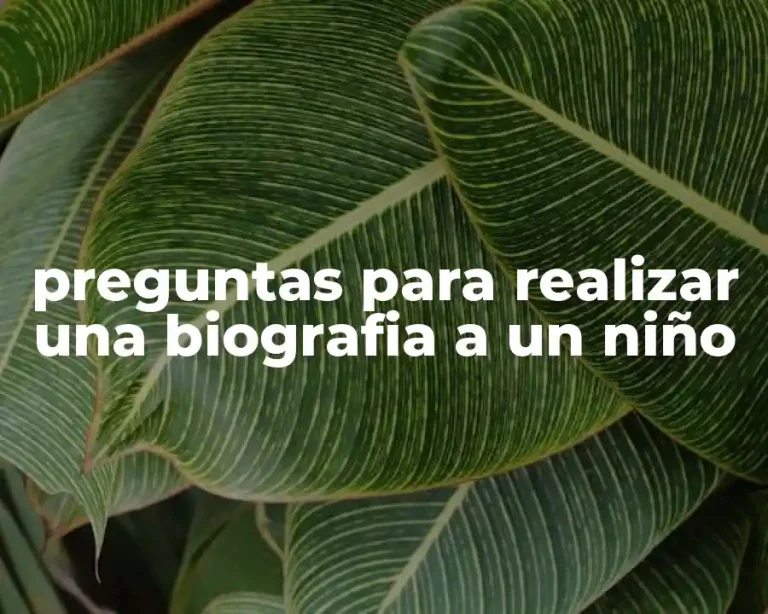 preguntas para realizar una biografia a un niño