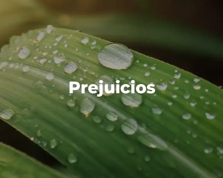 Prejuicios
