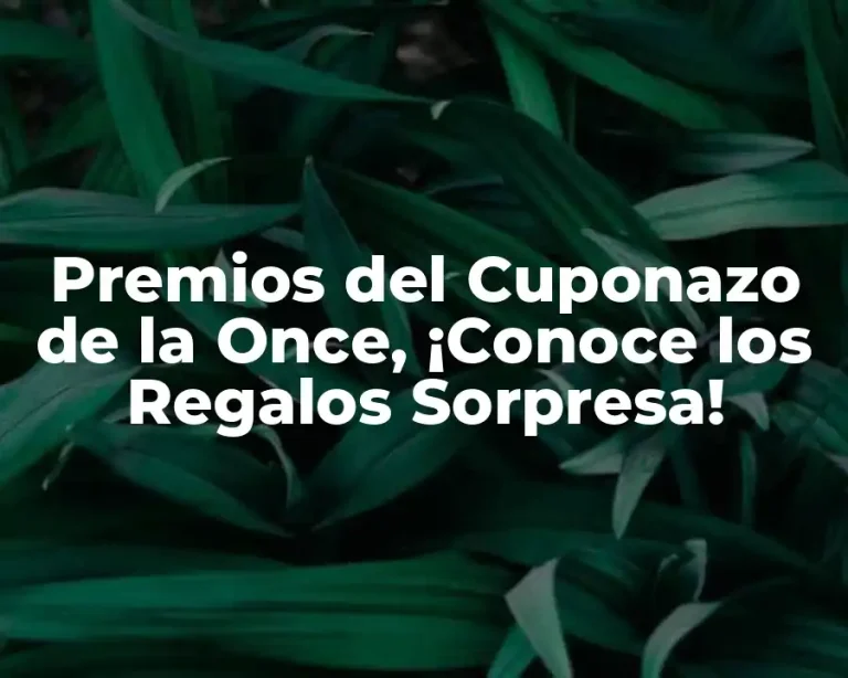 Premios del Cuponazo de la Once, ¡Conoce los Regalos Sorpresa!