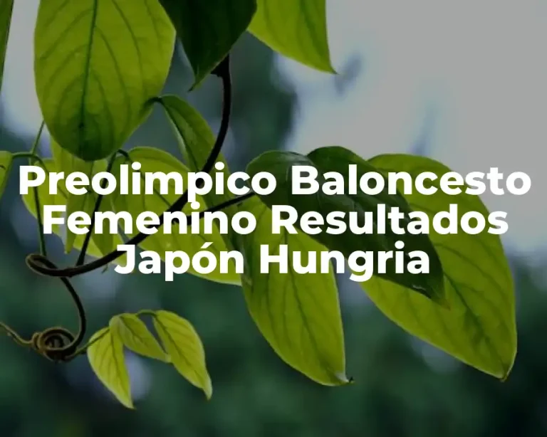 Preolimpico Baloncesto Femenino Resultados Japón Hungria