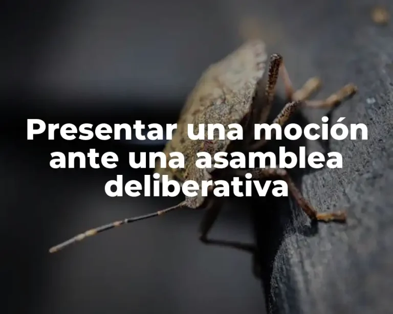 Presentar una moción ante una asamblea deliberativa