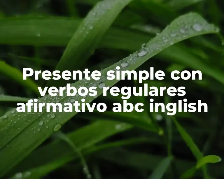 Presente simple con verbos regulares afirmativo abc inglish