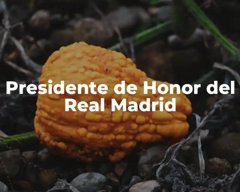 Presidente de Honor del Real Madrid