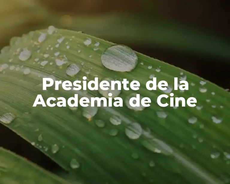Presidente de la Academia de Cine