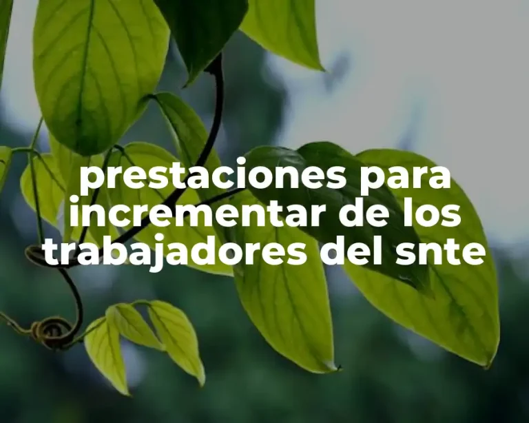 prestaciones para incrementar de los trabajadores del snte