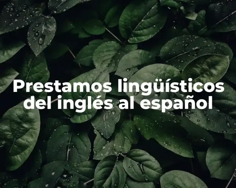 Prestamos lingüísticos del inglés al español