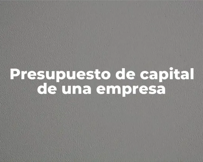 Presupuesto de capital de una empresa