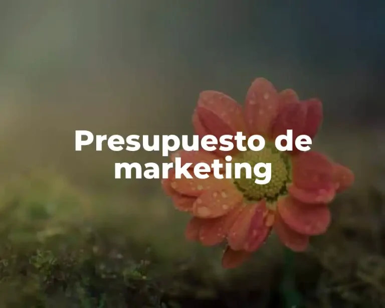 Presupuesto de marketing