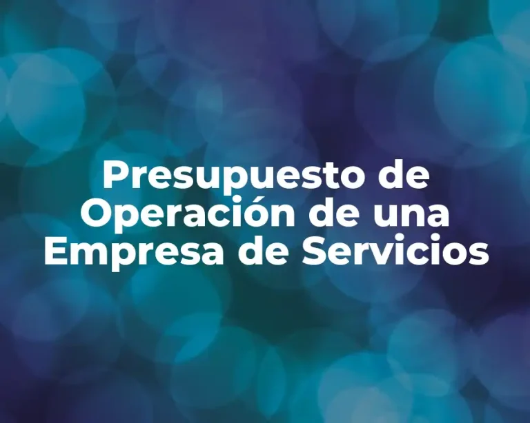 Presupuesto de Operación de una Empresa de Servicios