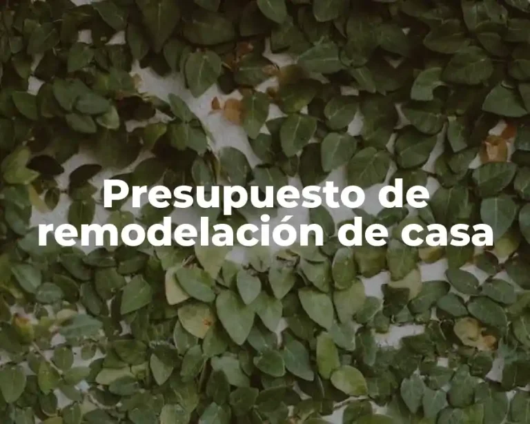Presupuesto de remodelación de casa