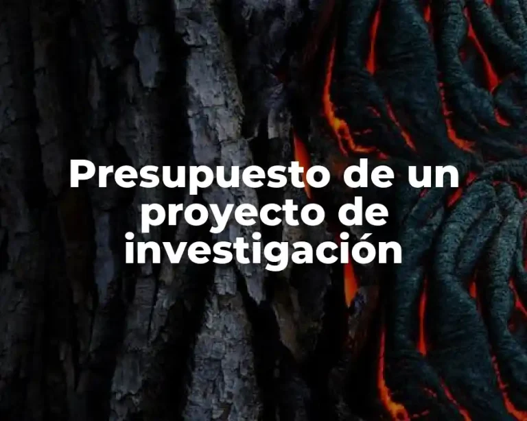 Presupuesto de un proyecto de investigación
