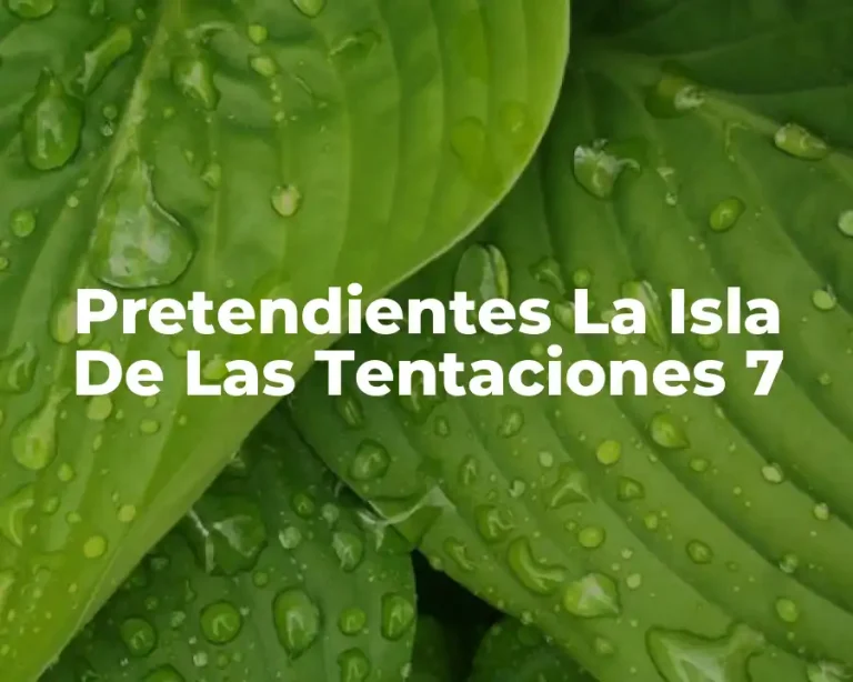 Pretendientes La Isla De Las Tentaciones 7