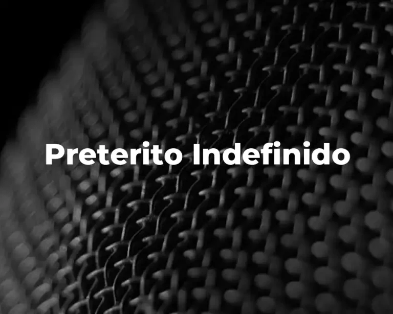 Preterito Indefinido
