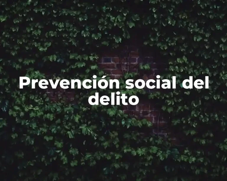 Prevención social del delito
