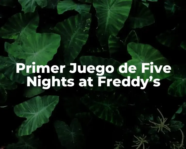 Primer Juego de Five Nights at Freddy’s