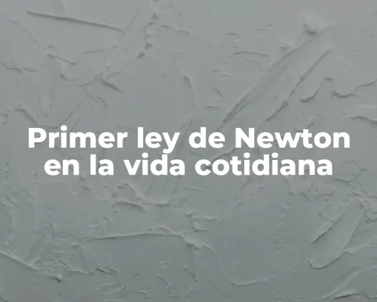 Primer ley de Newton en la vida cotidiana