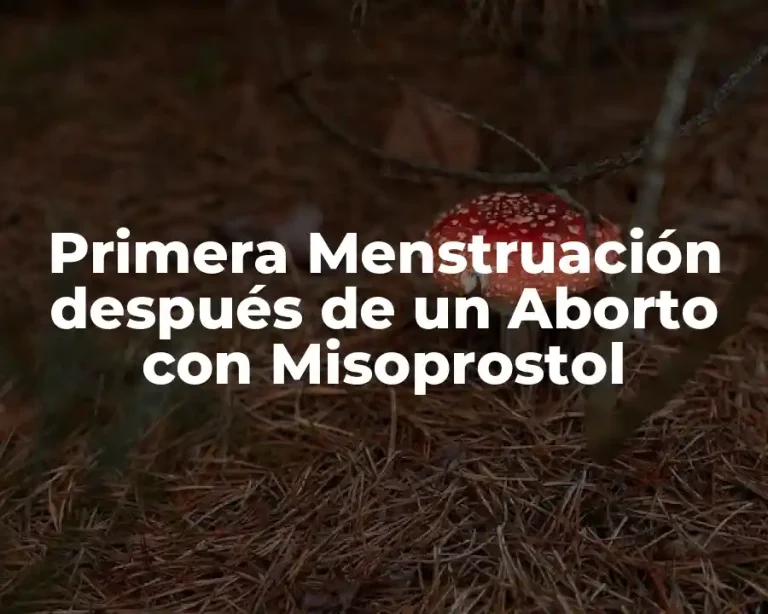 Primera Menstruación después de un Aborto con Misoprostol