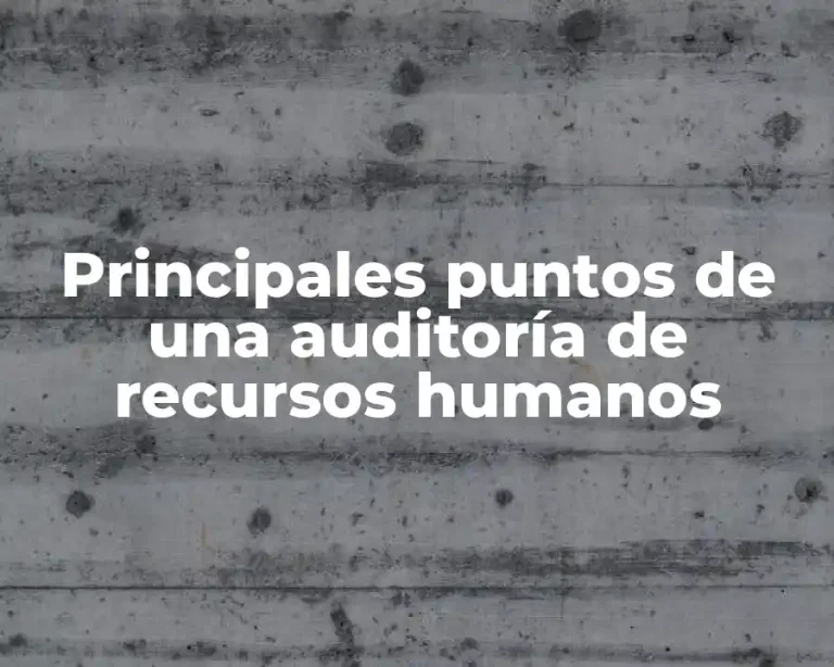Principales puntos de una auditoría de recursos humanos