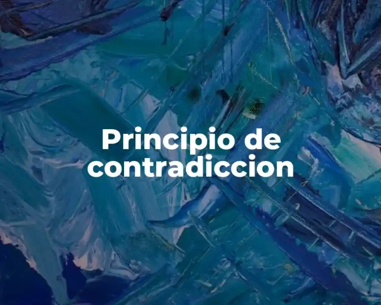Principio de contradiccion