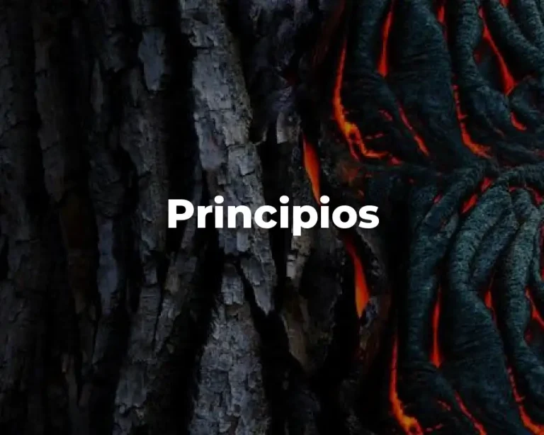 Principios