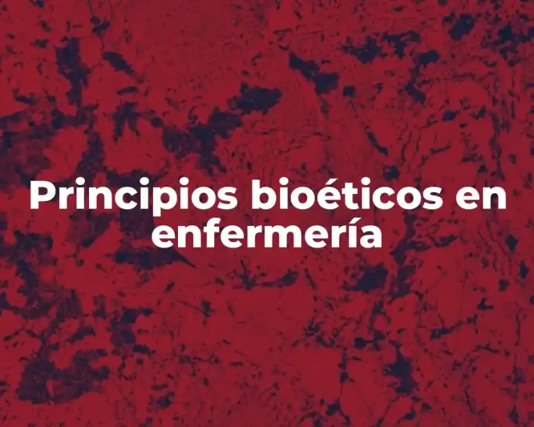 Principios bioéticos en enfermería