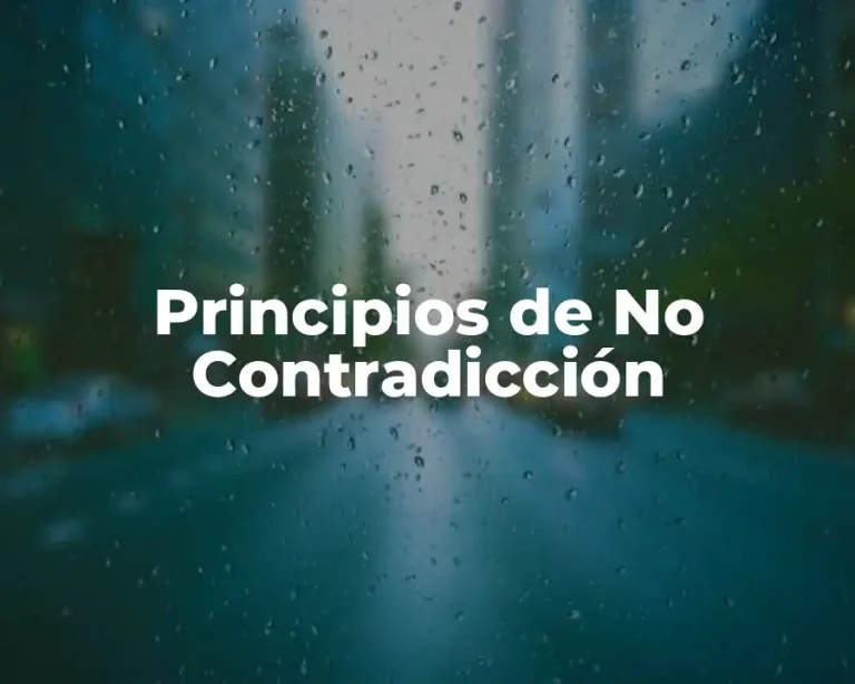 Principios de No Contradicción